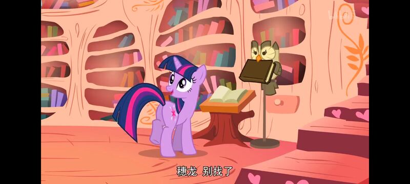 小马宝莉,彩虹小马,我的小马驹,动画,动漫,番剧,ACG,小马宝莉友谊魔法