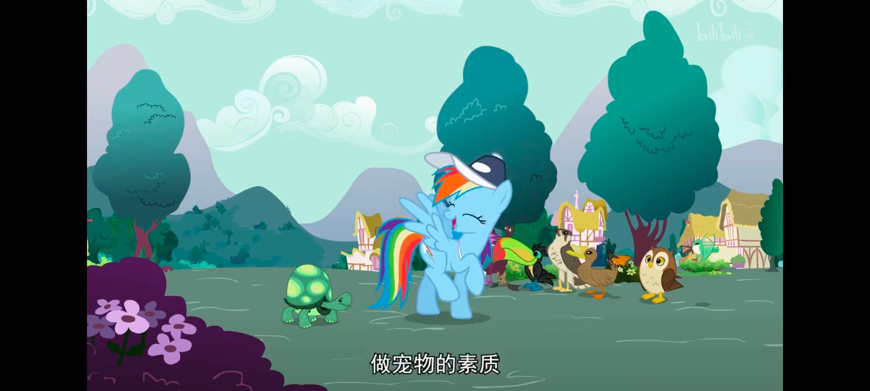 小马宝莉,彩虹小马,我的小马驹,动画,动漫,番剧,二次元,ACG