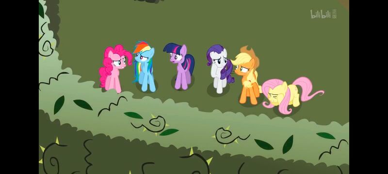 小马宝莉,小马宝莉友谊魔法,彩虹小马,我的小马驹,动画,动漫,番剧,ACG