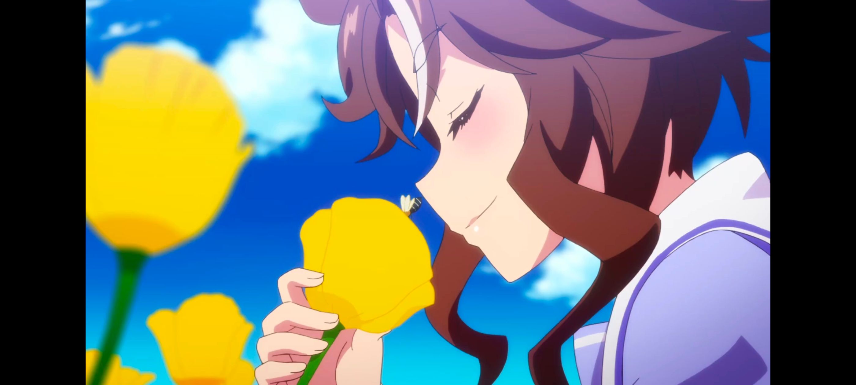 赛马娘,赛马娘PrettyDreby,赛马娘第二季,动画,动漫,番剧,二次元,ACG