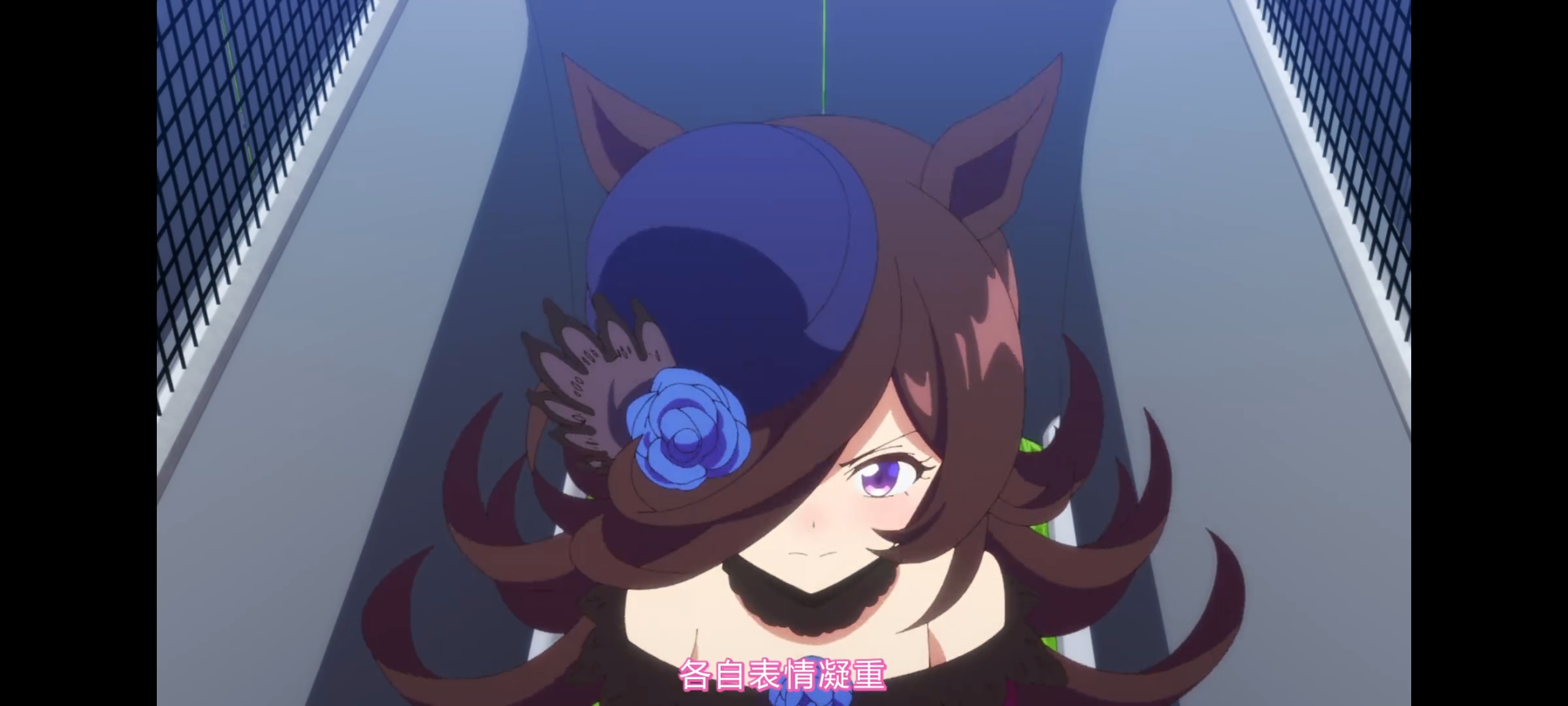 赛马娘,赛马娘第二季,动画,动漫,番剧,赛马娘PrettyDerby,二次元,ACG