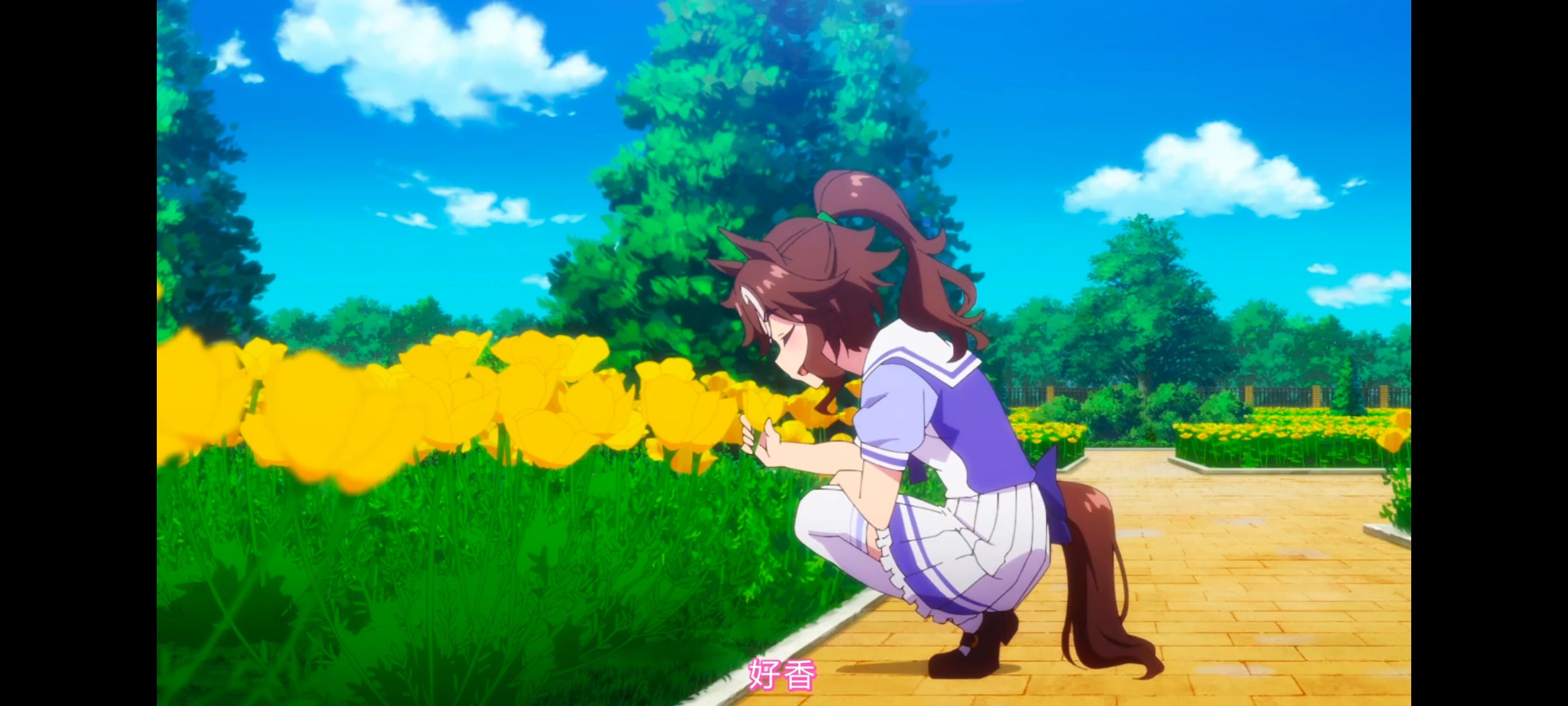 赛马娘,赛马娘PrettyDreby,赛马娘第二季,动画,动漫,番剧,二次元,ACG