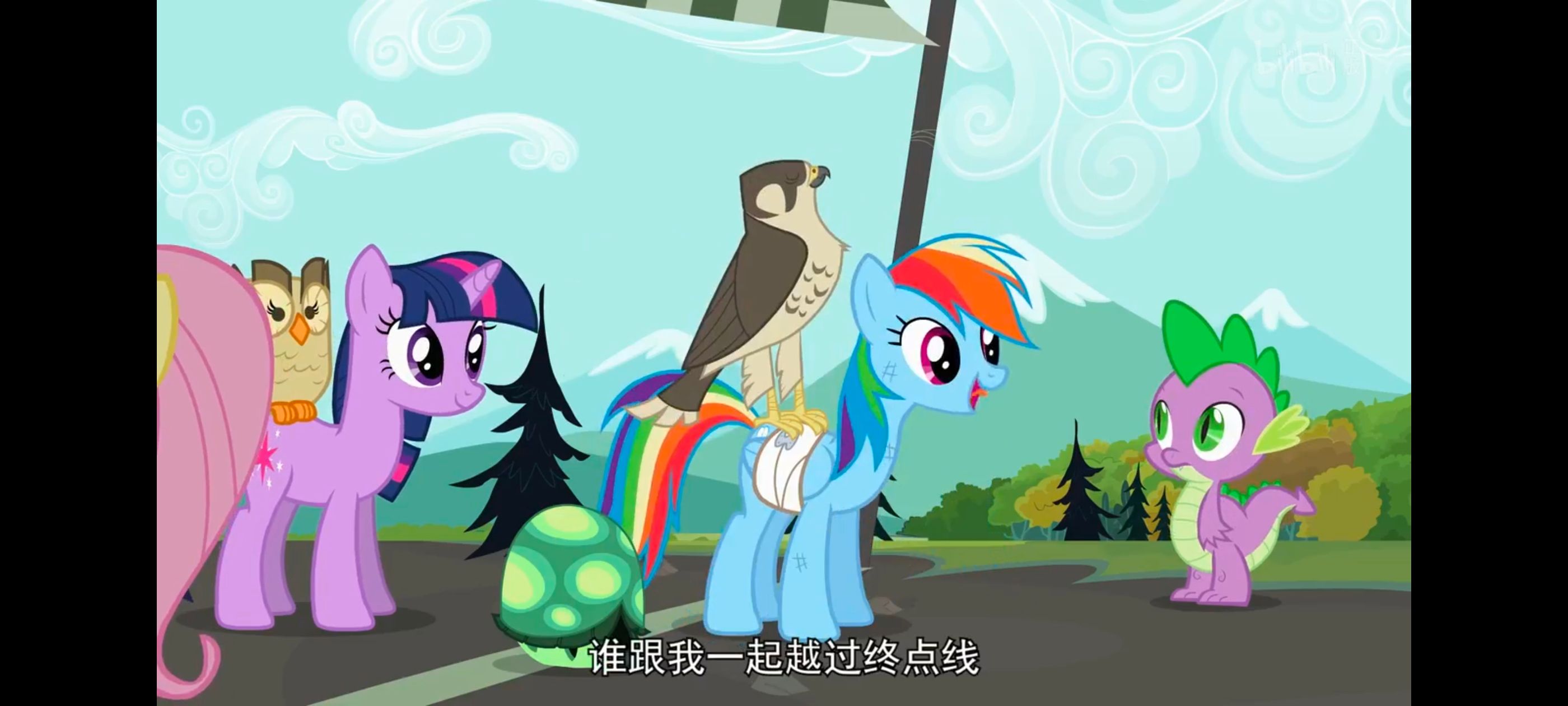 小马宝莉,彩虹小马,我的小马驹,动画,动漫,番剧,二次元,ACG