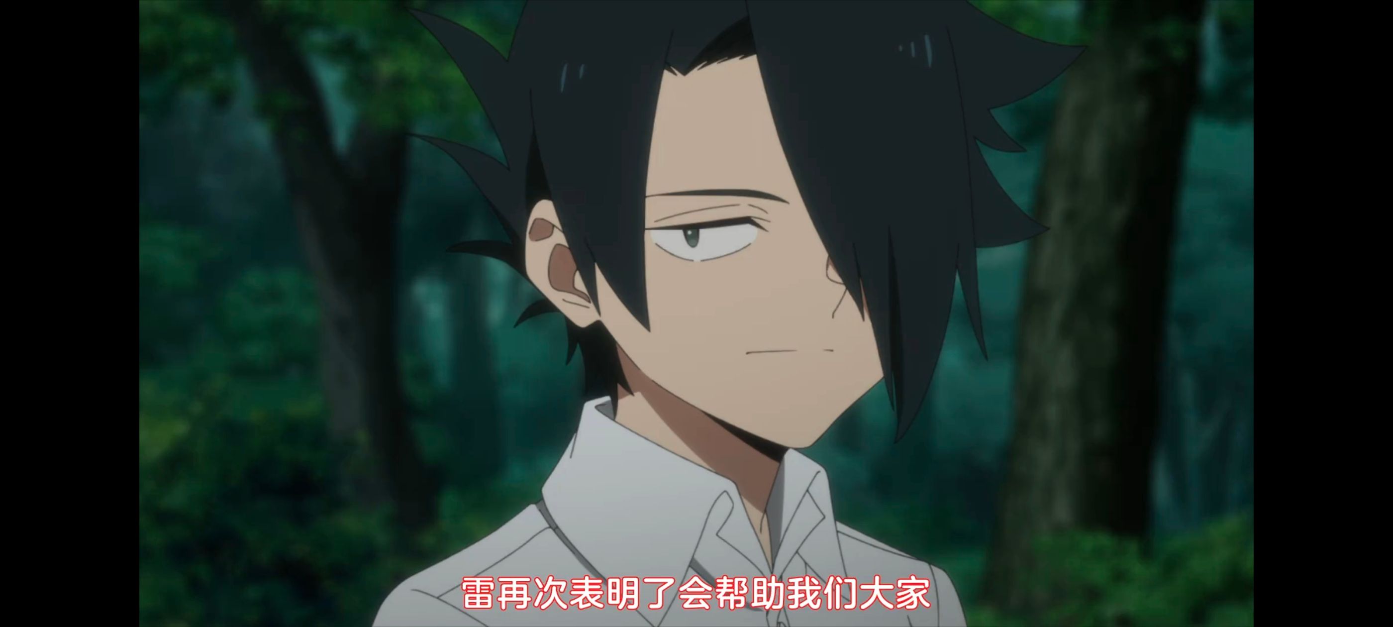 约定的梦幻岛,动画,动漫,番剧,ACG