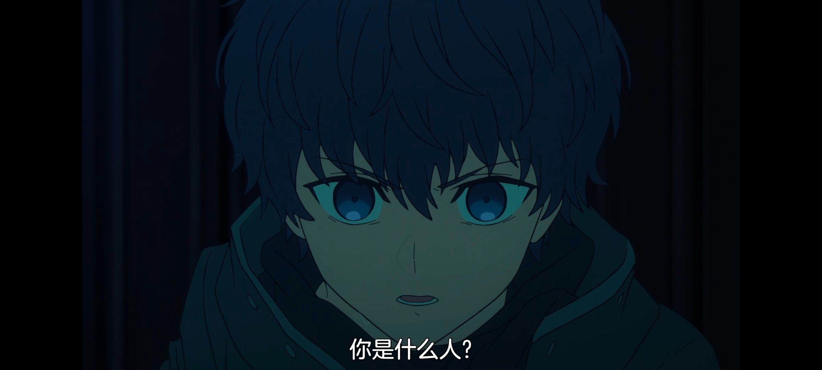 命运奇异赝品,FatestrangeFake,动画,动漫,番剧,ACG