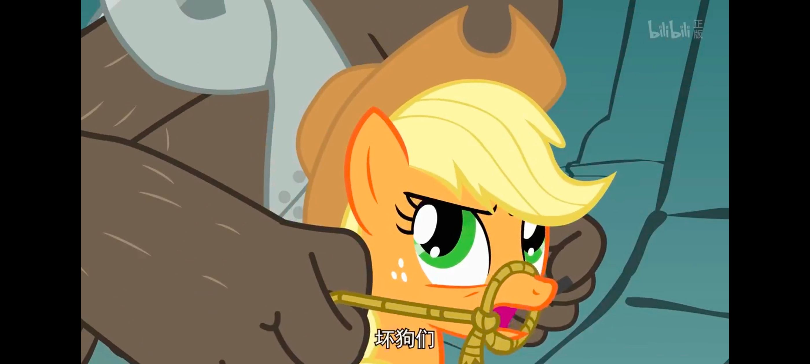 彩虹小马,小马宝莉,我的小马驹,小马宝莉友谊魔法,动画,动漫,番剧,ACG