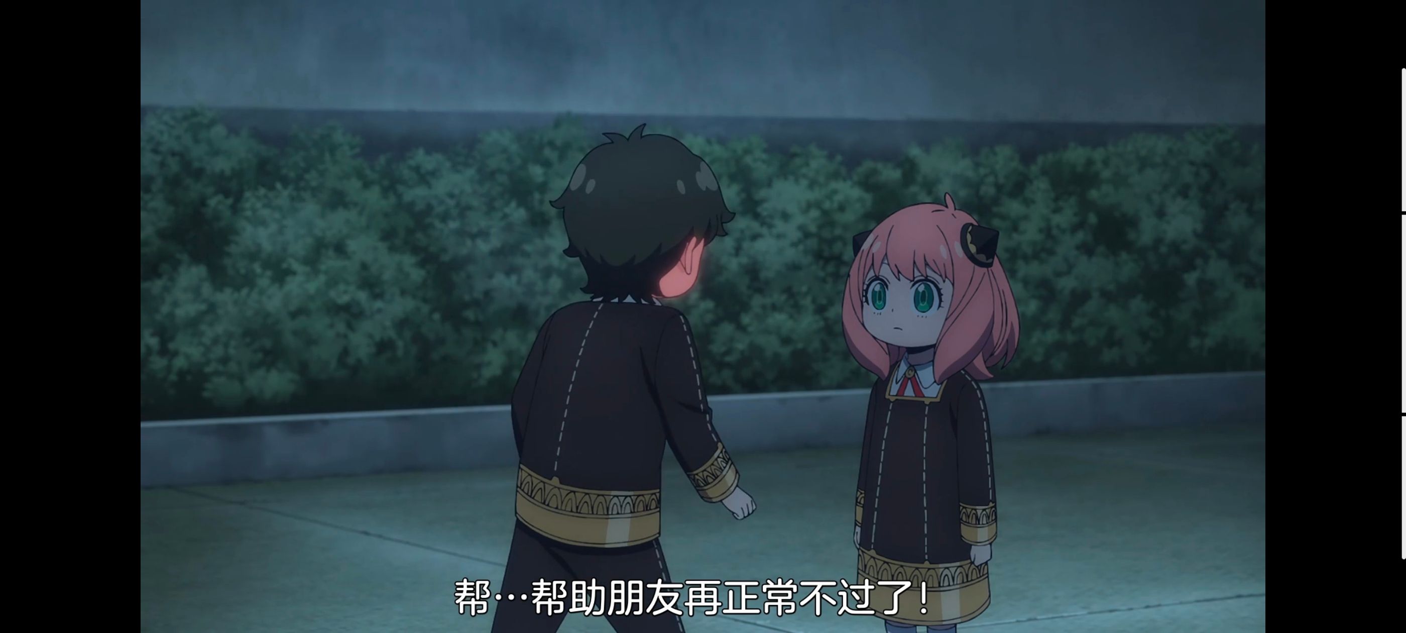 间谍过家家,SPYFAMILY,动画,动漫,番剧,ACG