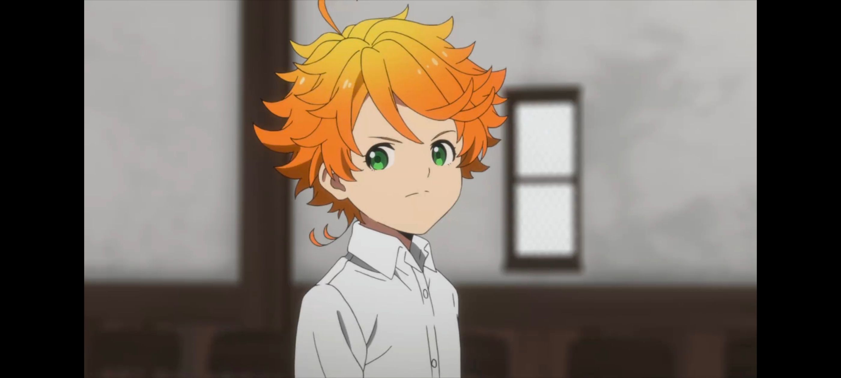 约定的梦幻岛,动画,动漫,番剧,二次元,ACG