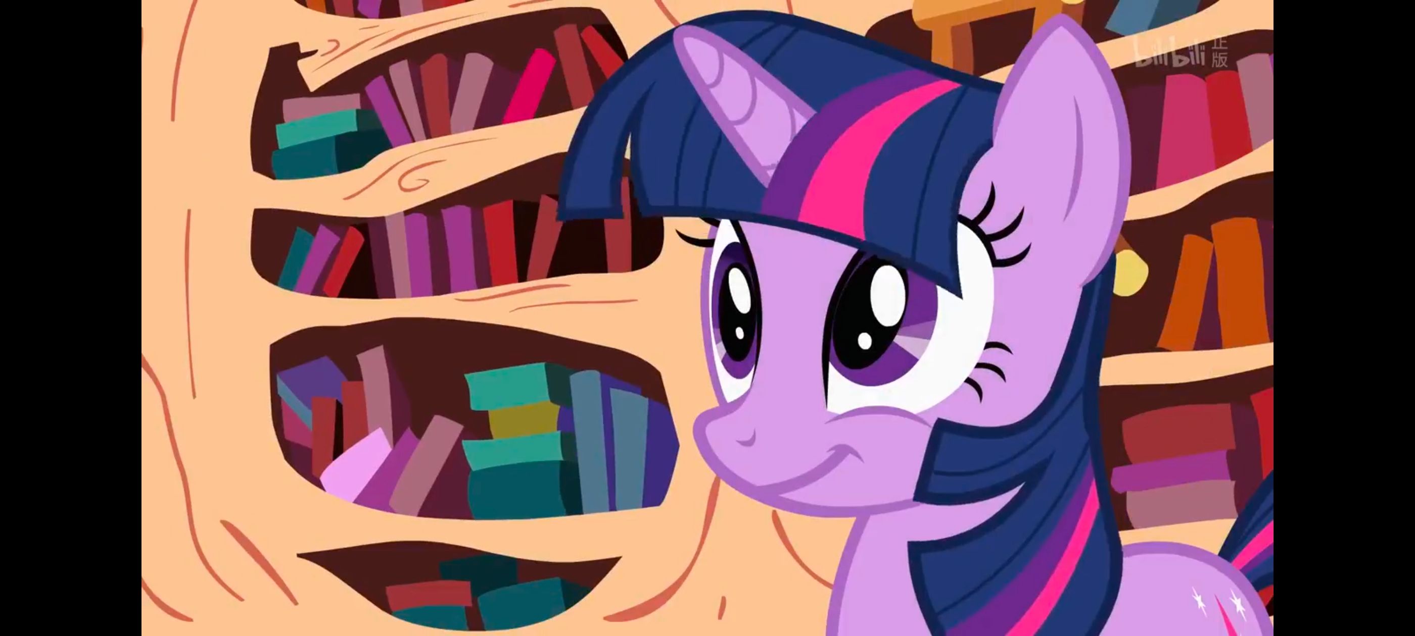 小马宝莉,小马宝莉友谊魔法,彩虹小马,我的小马驹,动画,动漫,番剧,ACG