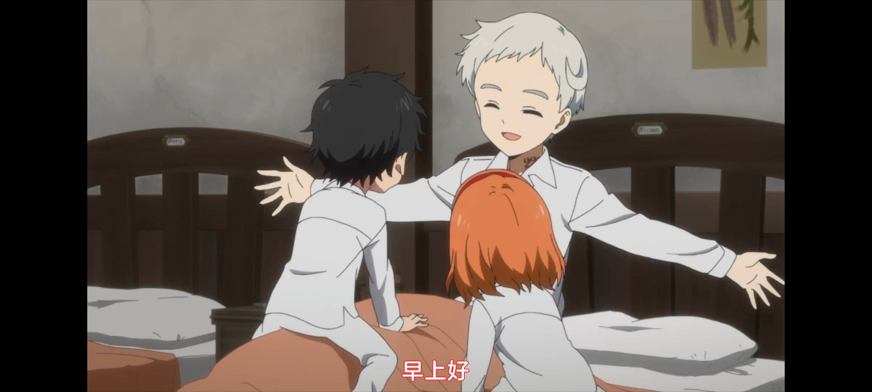 约定的梦幻岛,动画,动漫,番剧,ACG