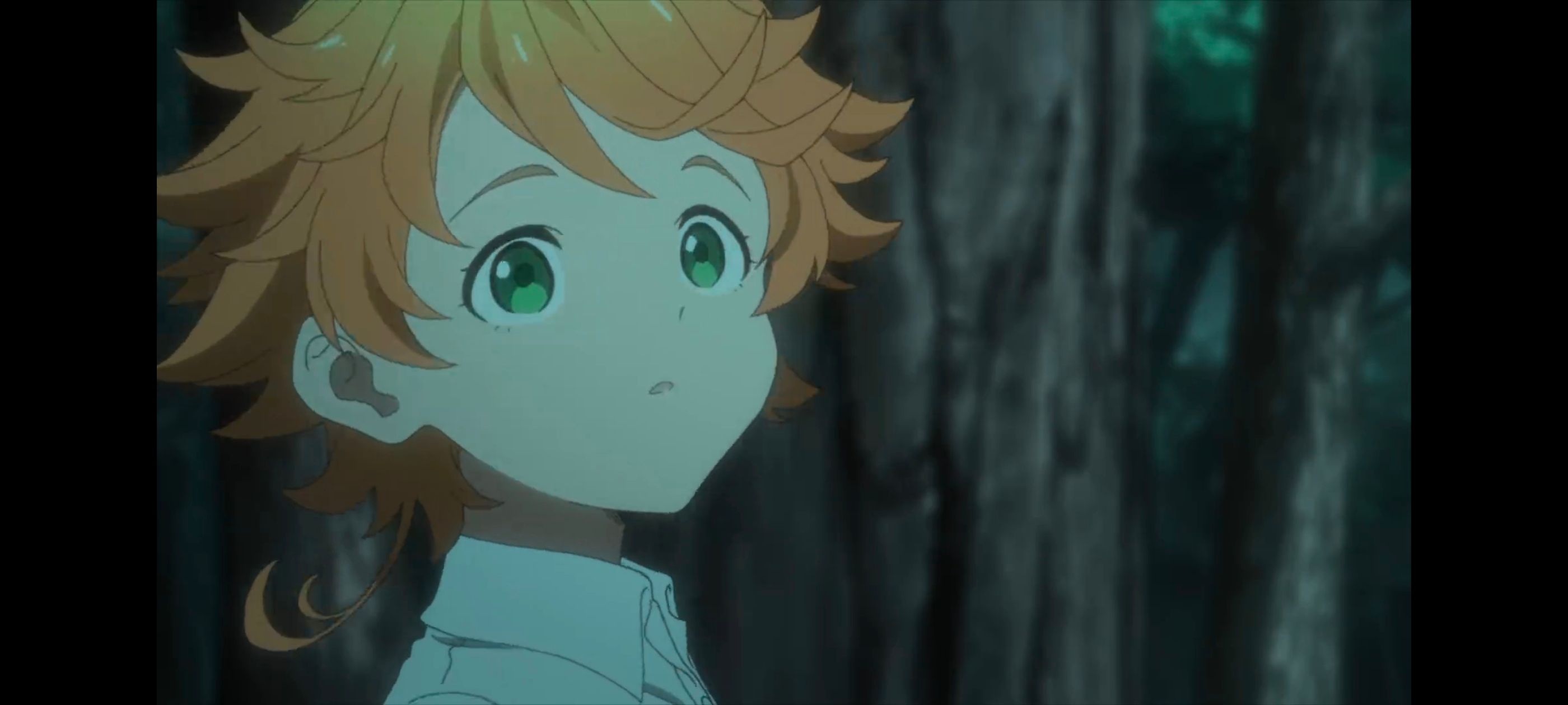 约定的梦幻岛,动画,动漫,番剧,ACG