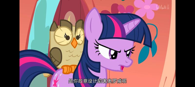 小马宝莉,彩虹小马,我的小马驹,动画,动漫,番剧,ACG,小马宝莉友谊魔法