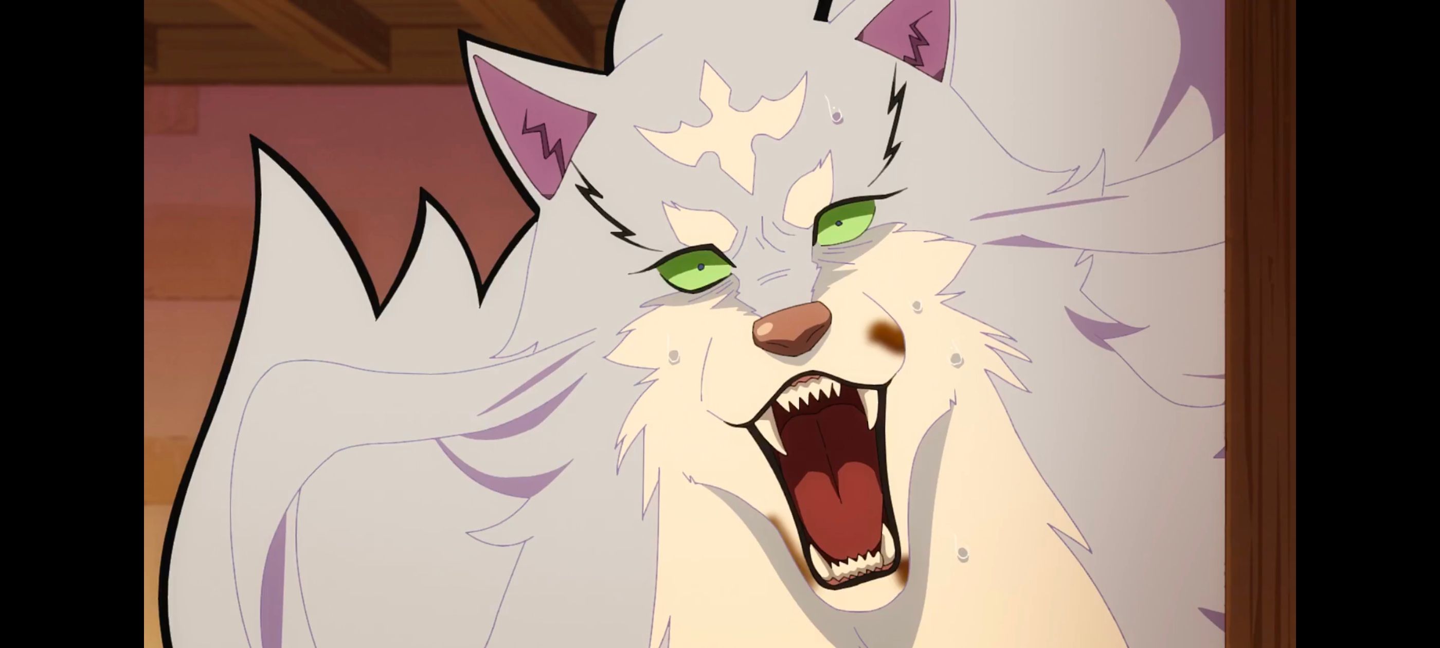 网购技能开启异世界美食之旅,拥有超常技能的异世界流浪美食家,动画,动漫,番剧,ACG