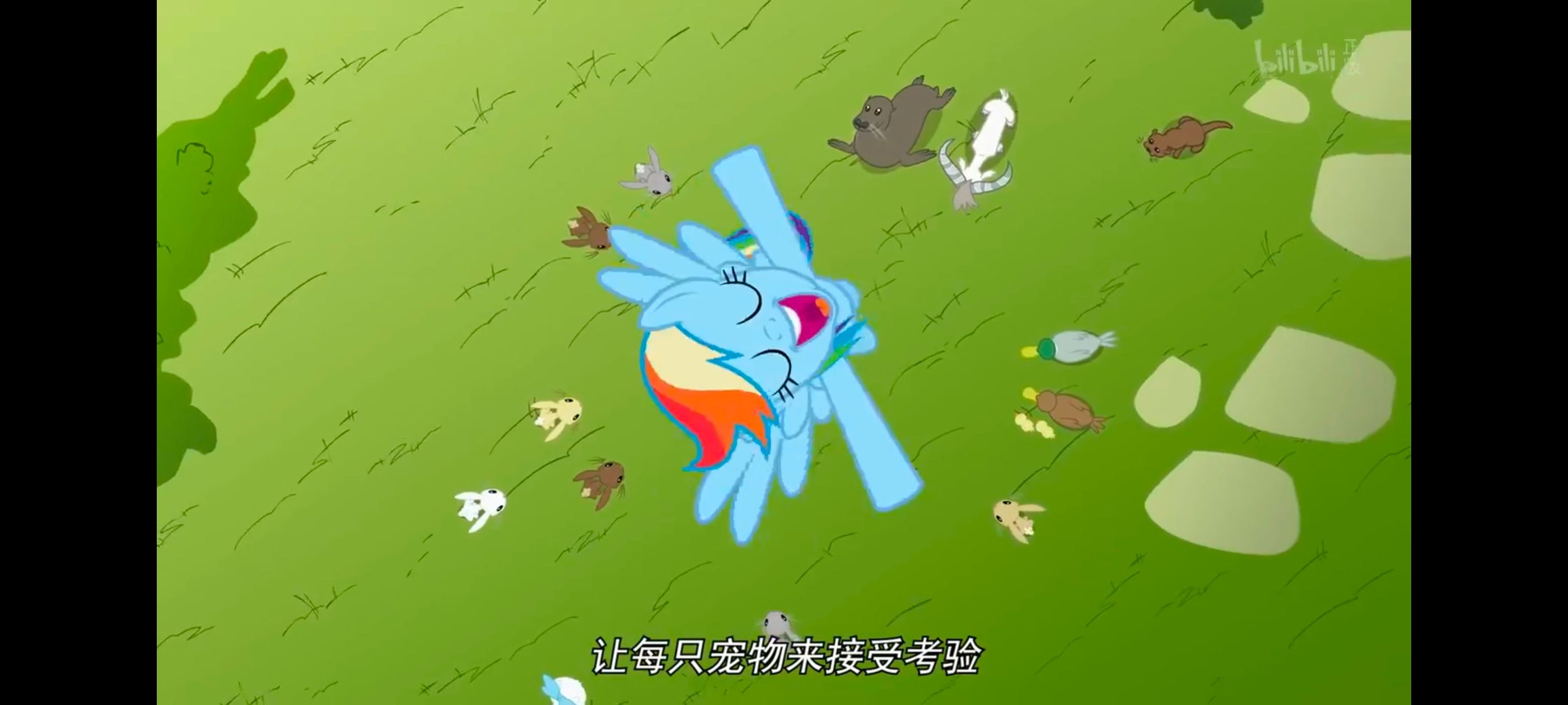 小马宝莉,彩虹小马,我的小马驹,动画,动漫,番剧,二次元,ACG