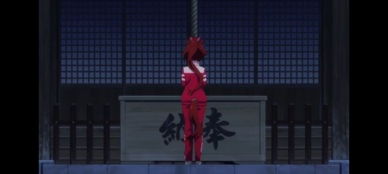 赛马娘,赛马娘PrettyDreby,赛马娘第二季,动画,动漫,番剧,ACG