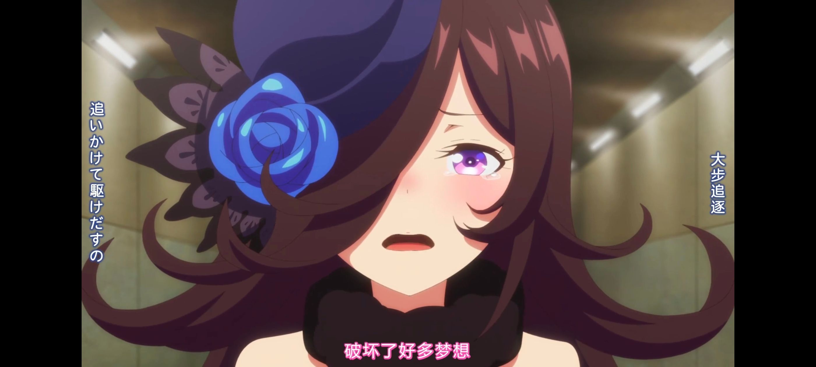 赛马娘,赛马娘PrettyDreby,动画,动漫,AMV,MAD,二次元,ACG