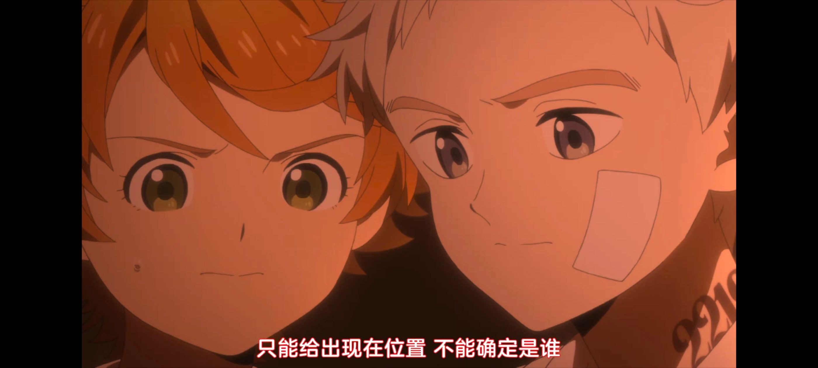 约定的梦幻岛,动画,动漫,番剧,二次元,ACG