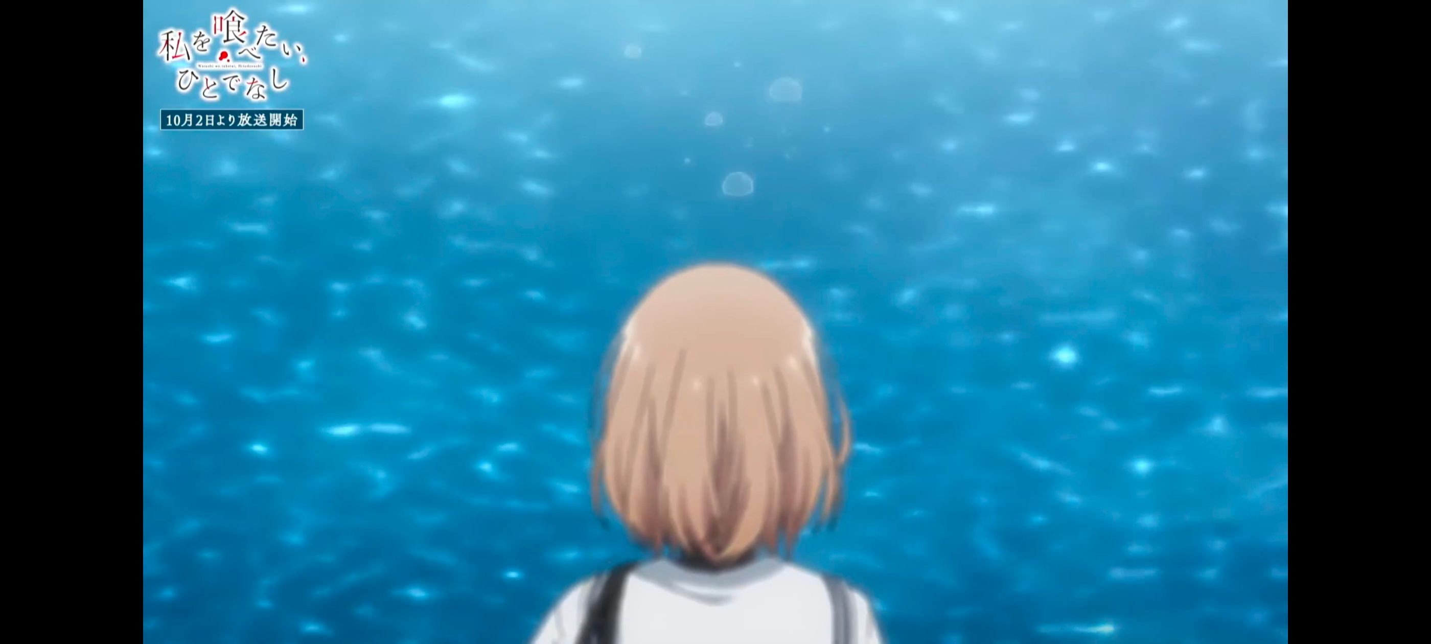 /static/13b3e382b433038f15d82c90cb36ca60a151a9e0d929460c97a3b938ce9ff1c7.jpg