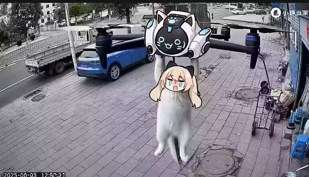 弔图,meme,迷因