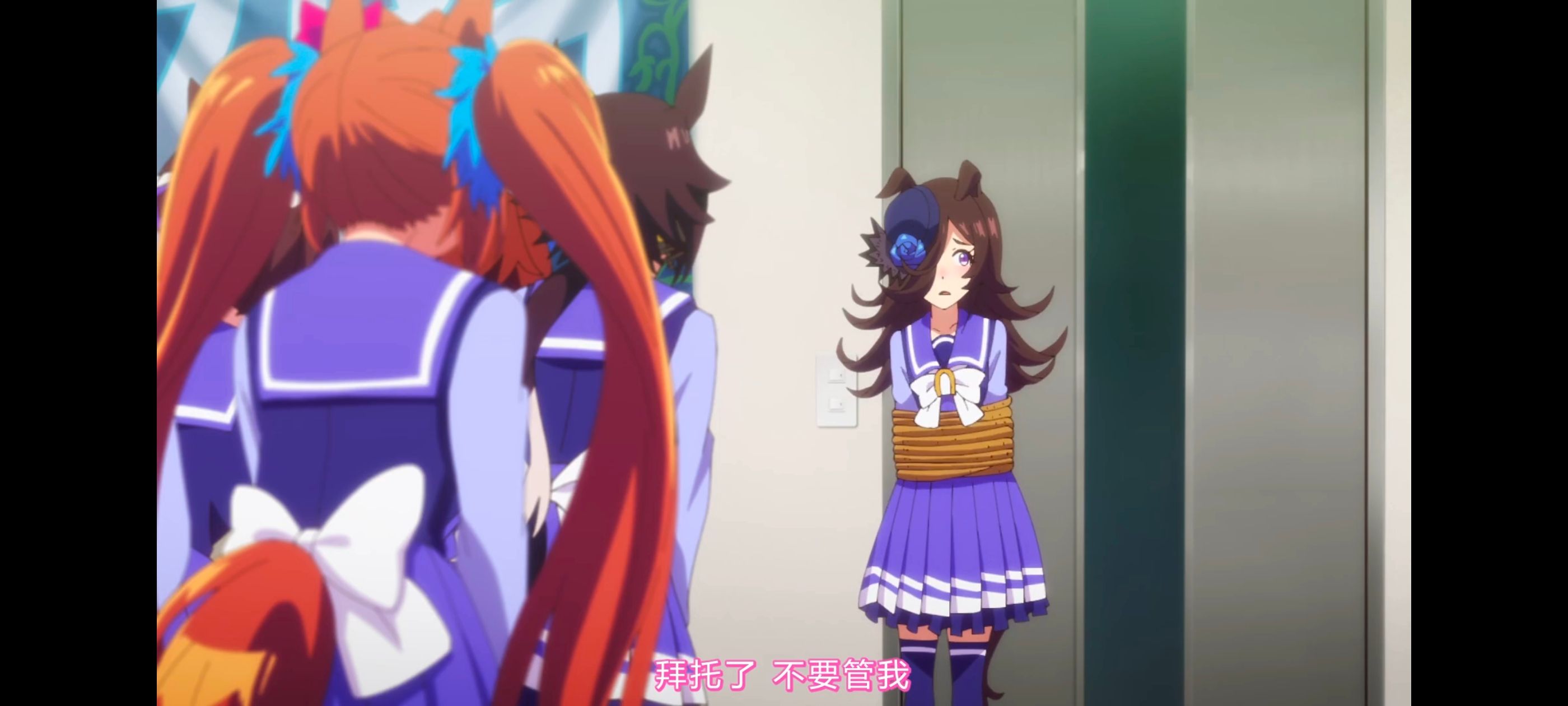 赛马娘,赛马娘第二季,动画,动漫,番剧,二次元,ACG,赛马娘PrettyDerby