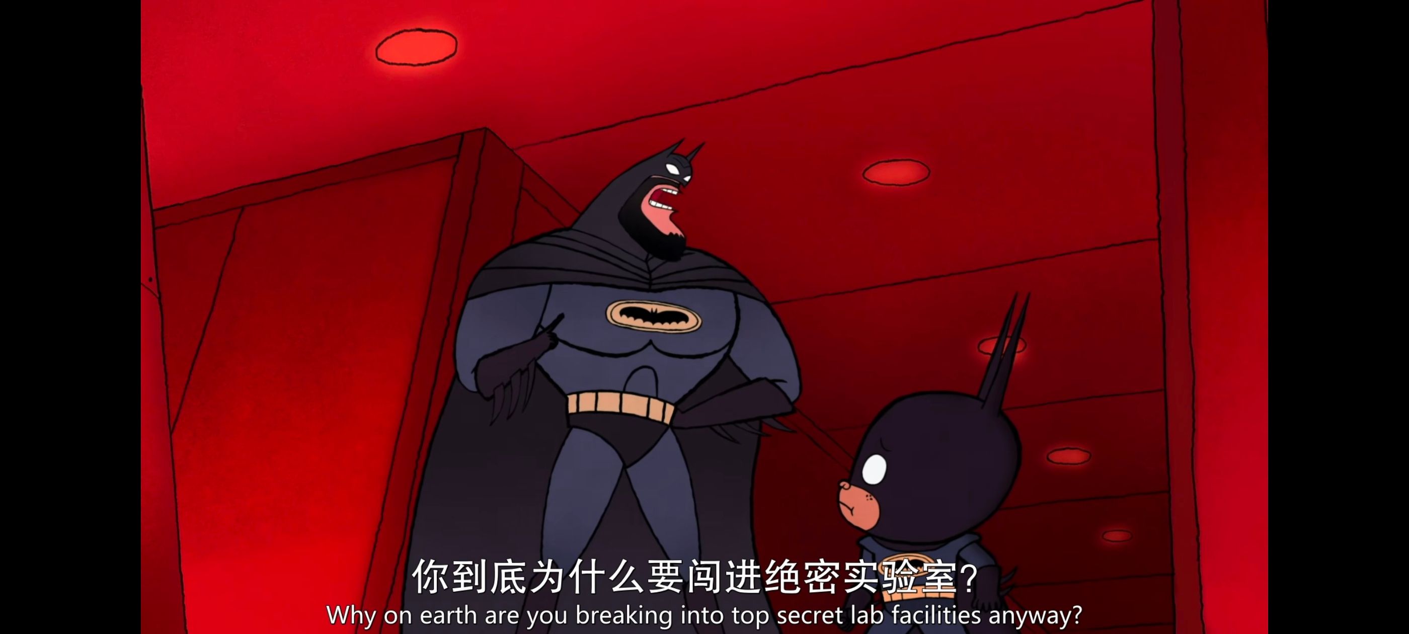 蝙蝠侠家族,蝙蝠侠一家,动漫,动画,番剧,ACG