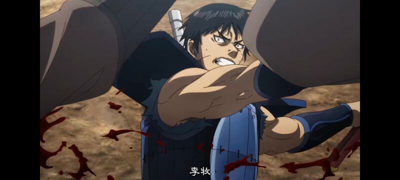 王者天下,动画,动漫,番剧,ACG