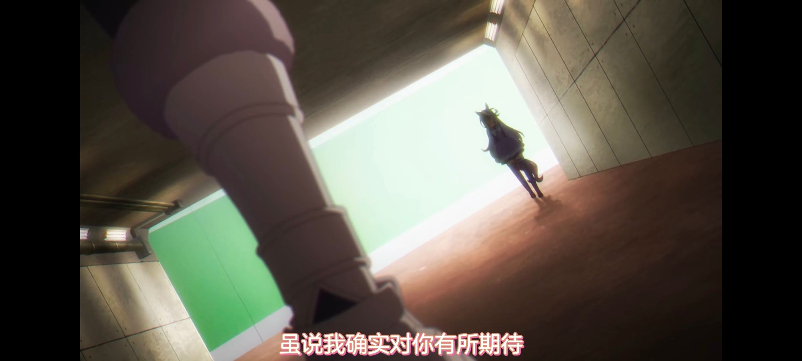 赛马娘,赛马娘PrettyDreby,赛马娘芦毛灰姑娘,芦毛灰姑娘,动画,动漫,番剧,ACG