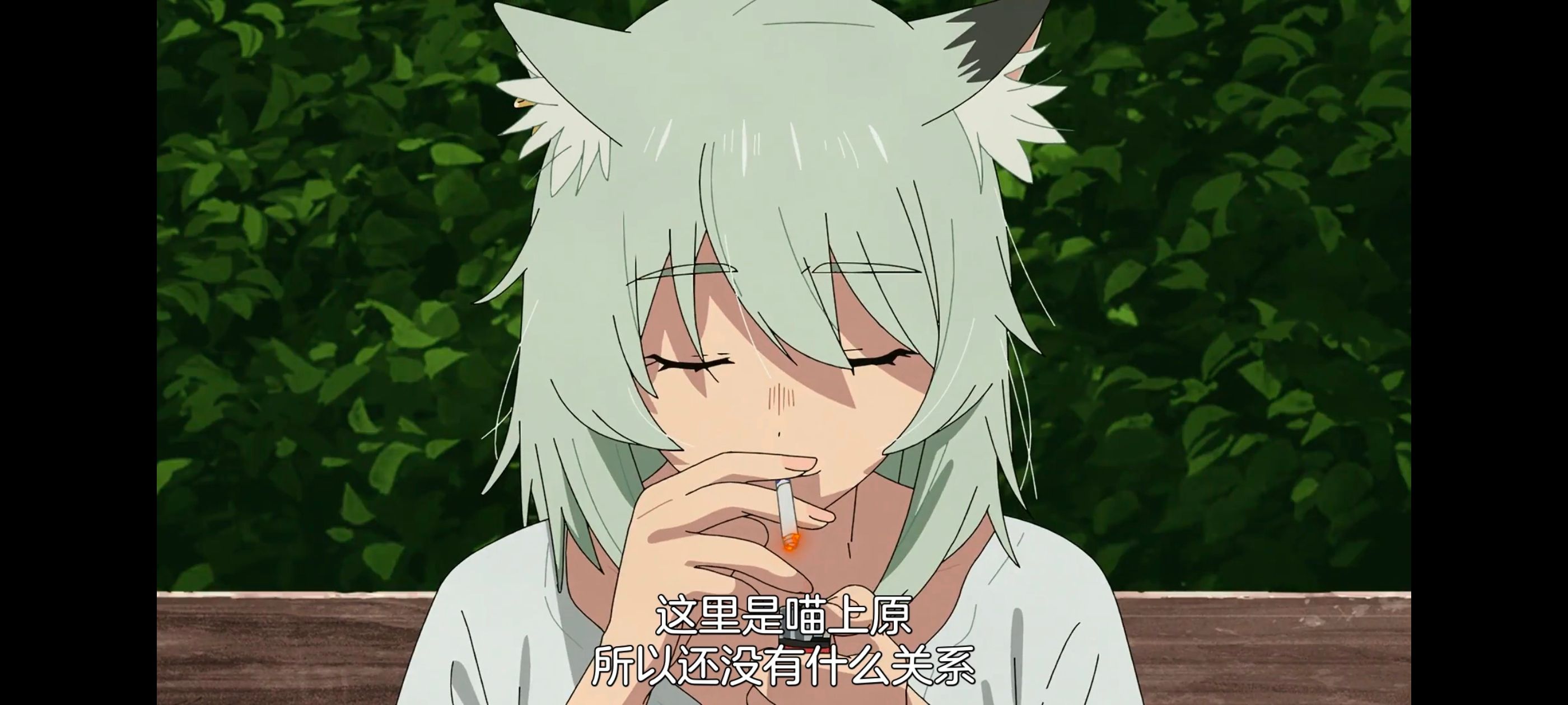 雅尼猫,尼古喵喵,动画,动漫,番剧,日漫,二次元,ACG