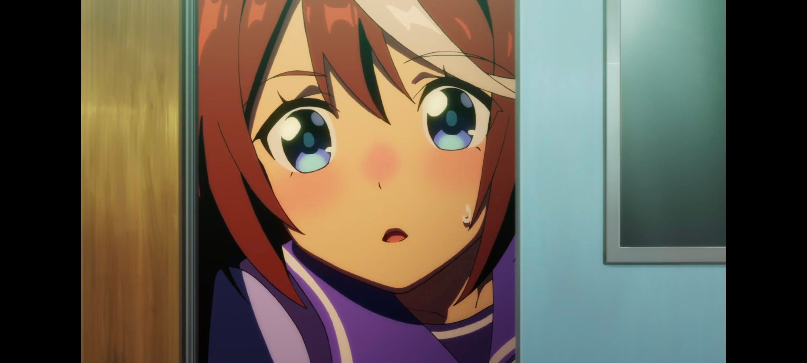 赛马娘,赛马娘第二季,动画,动漫,番剧,ACG