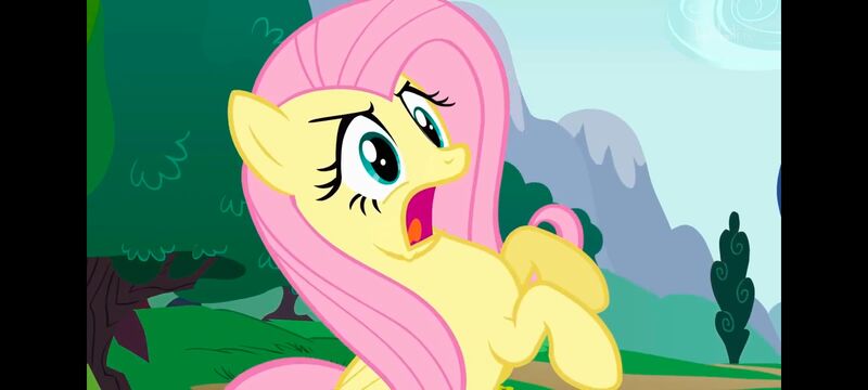 小马宝莉,小马宝莉友谊魔法,彩虹小马,我的小马驹,动画,动漫,番剧,ACG