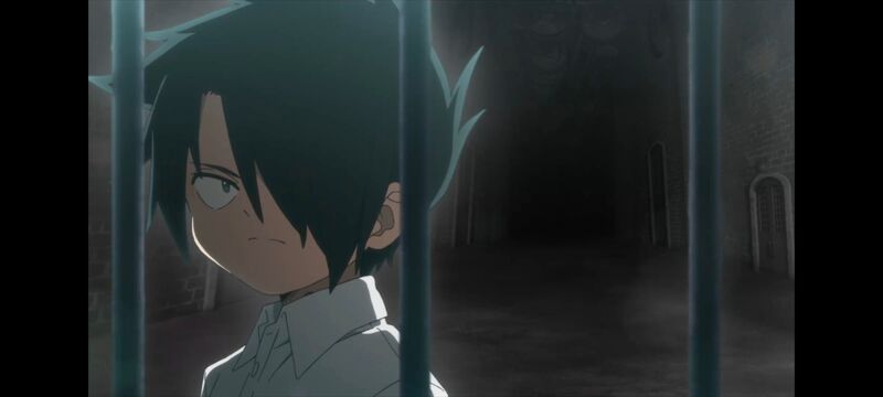 约定的梦幻岛,动画,动漫,番剧,ACG