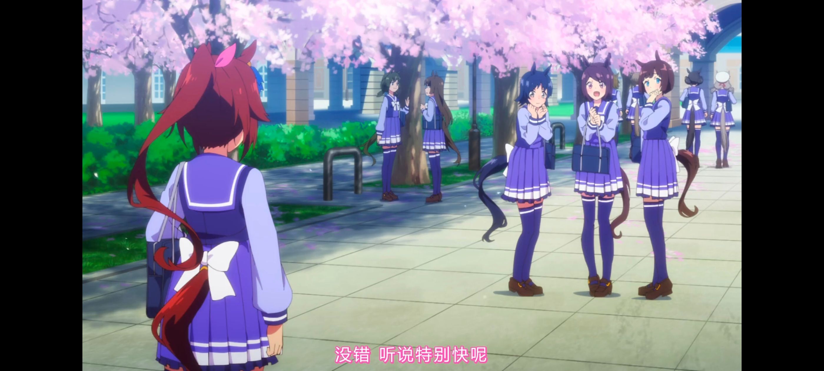 赛马娘,赛马娘PrettyDreby,赛马娘第二季,动画,动漫,番剧,ACG