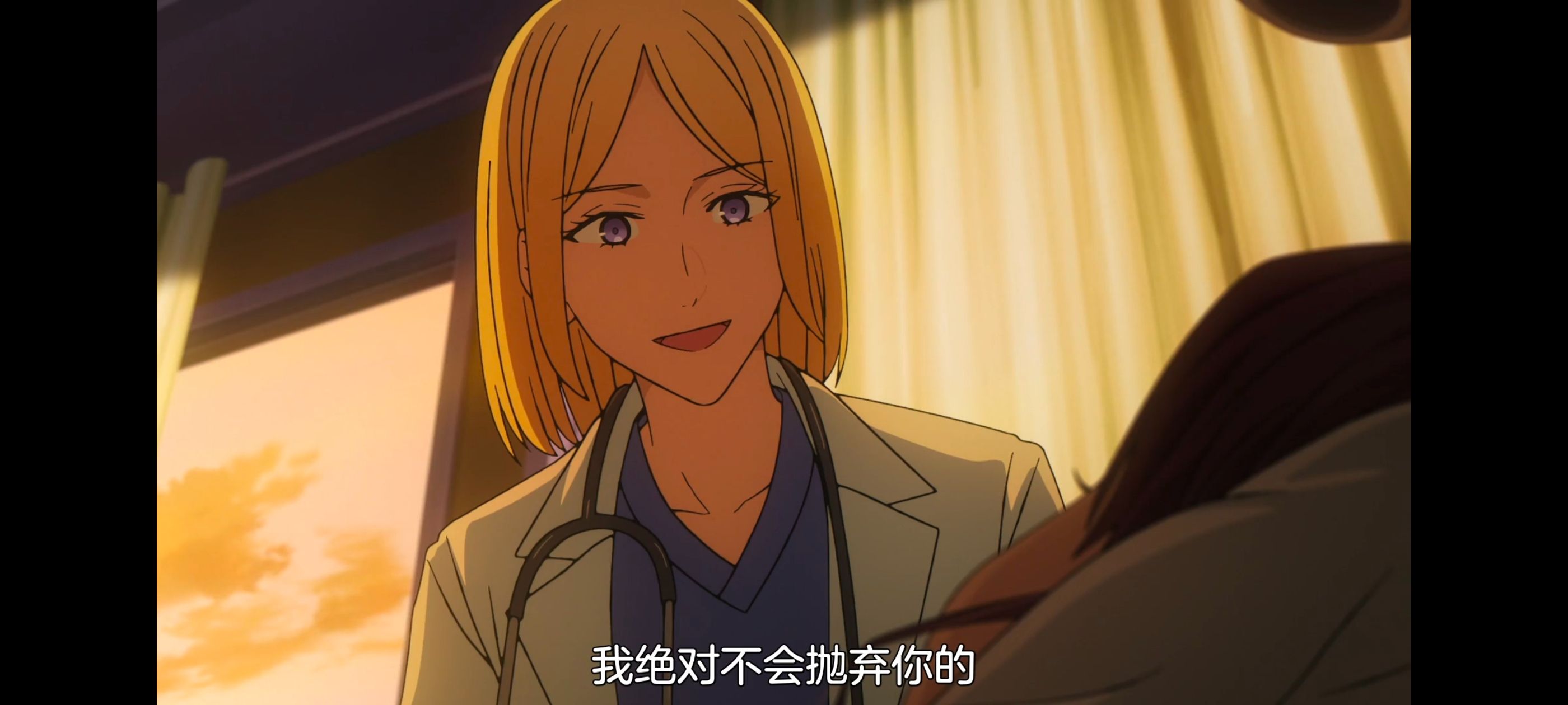 命运奇异赝品,FatestrangeFake,动画,动漫,番剧,ACG