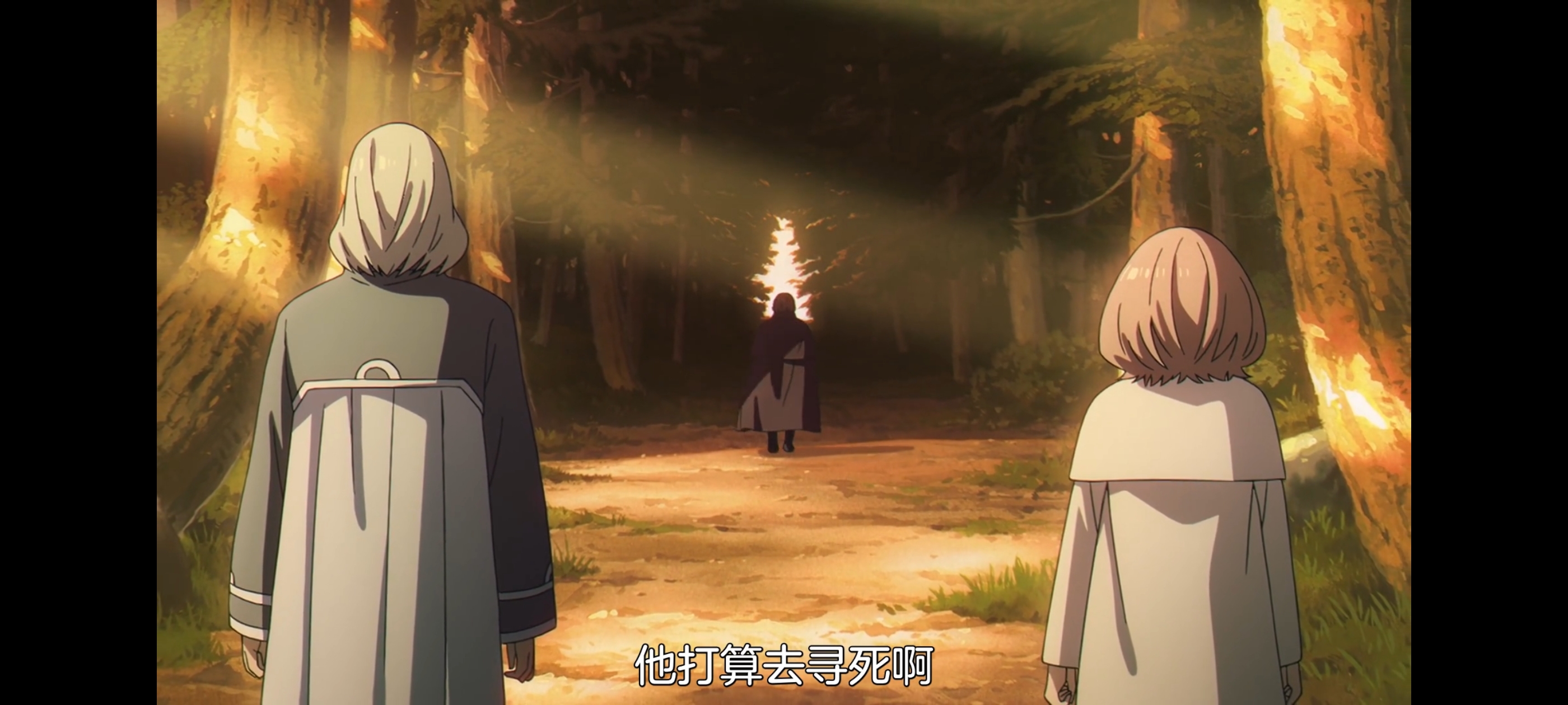 葬送的芙莉莲,动画,动漫,番剧,二次元,ACG