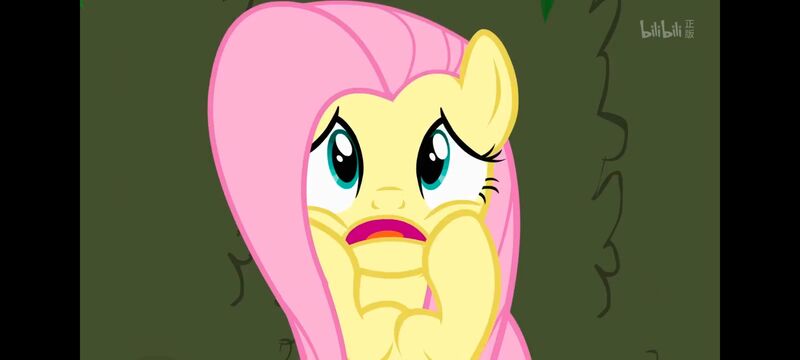 小马宝莉,小马宝莉友谊魔法,彩虹小马,我的小马驹,动画,动漫,番剧,ACG