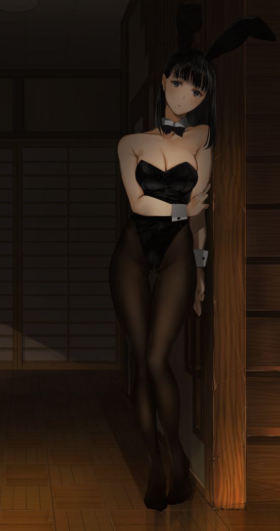 兔女郎,涩图
