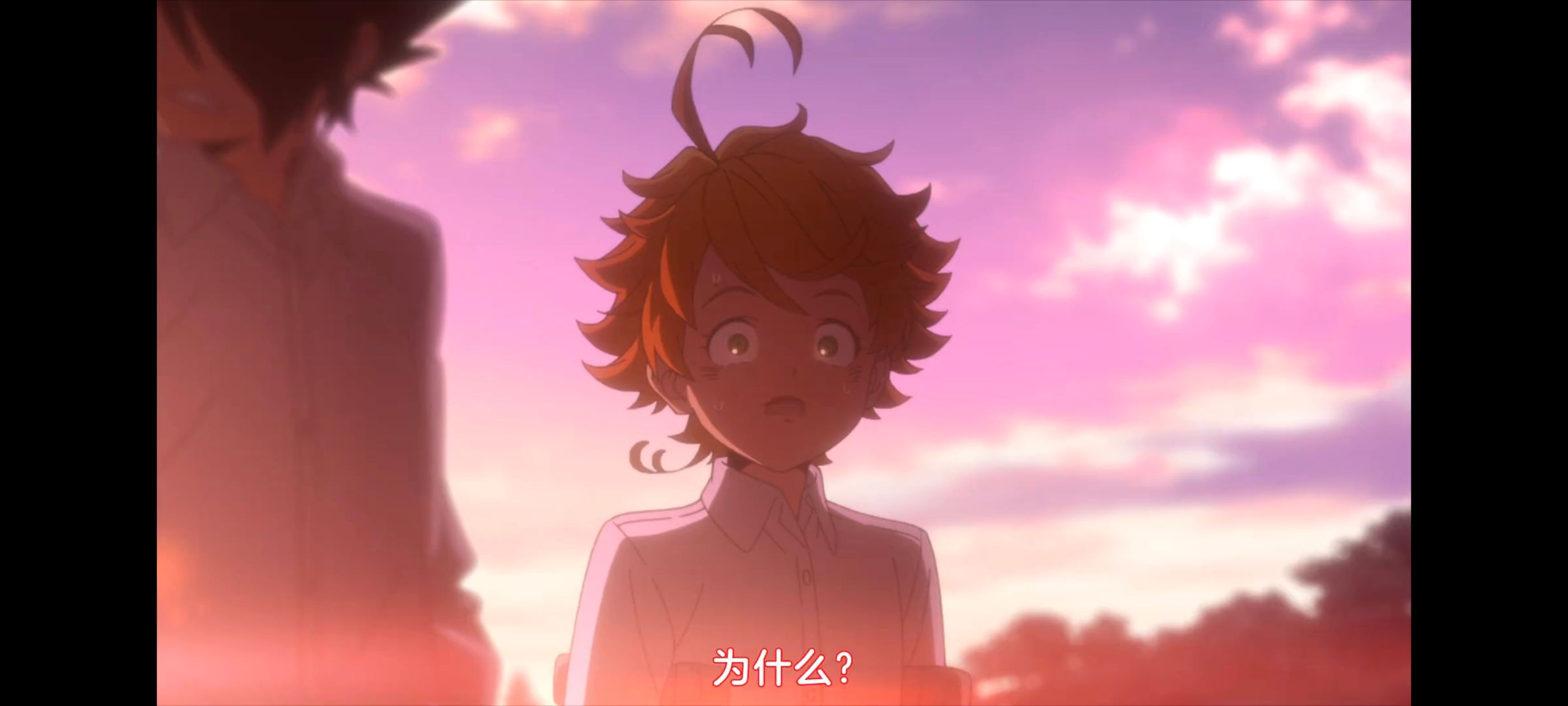 约定的梦幻岛,动画,动漫,番剧,二次元,ACG