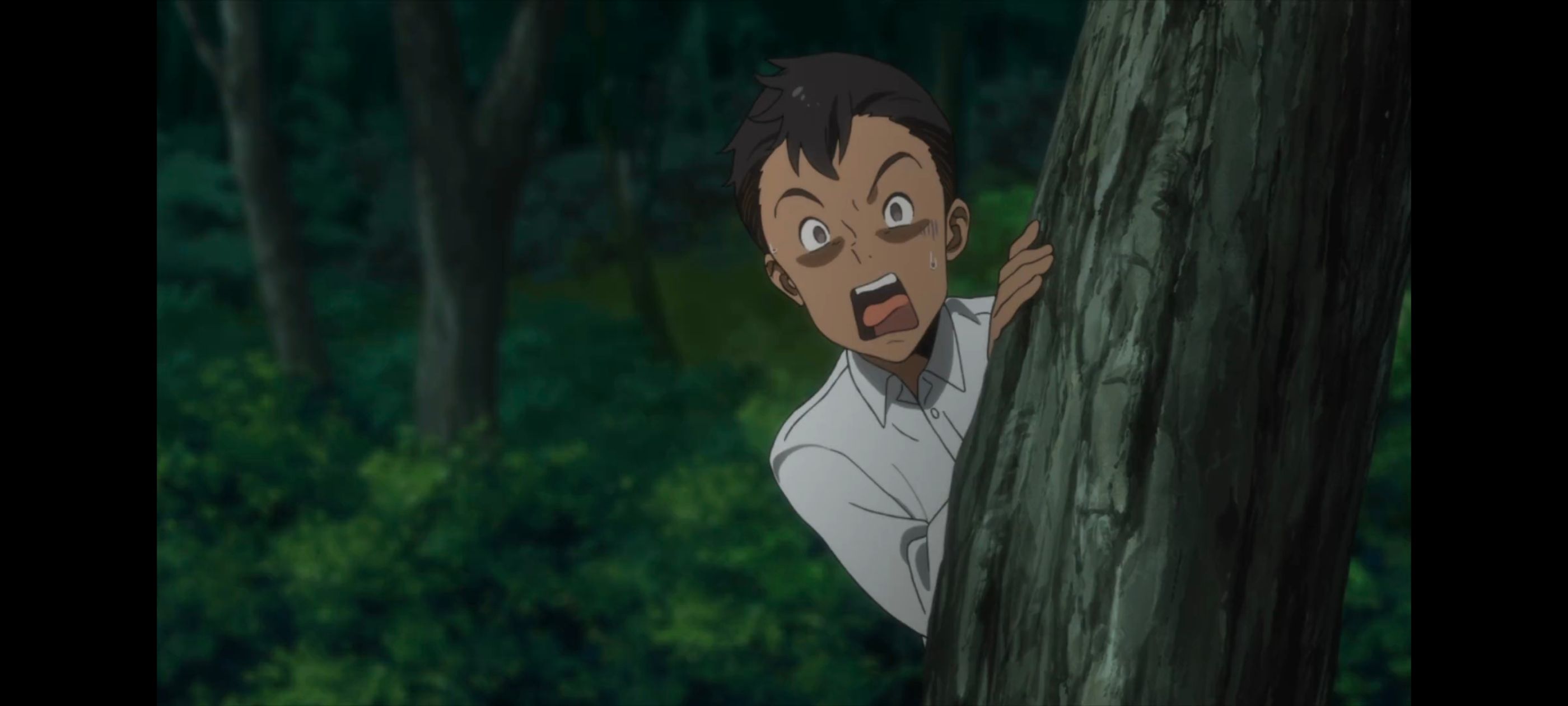 约定的梦幻岛,动画,动漫,番剧,ACG