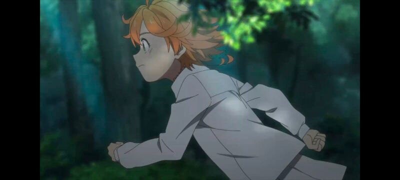 约定的梦幻岛,动画,动漫,番剧,ACG