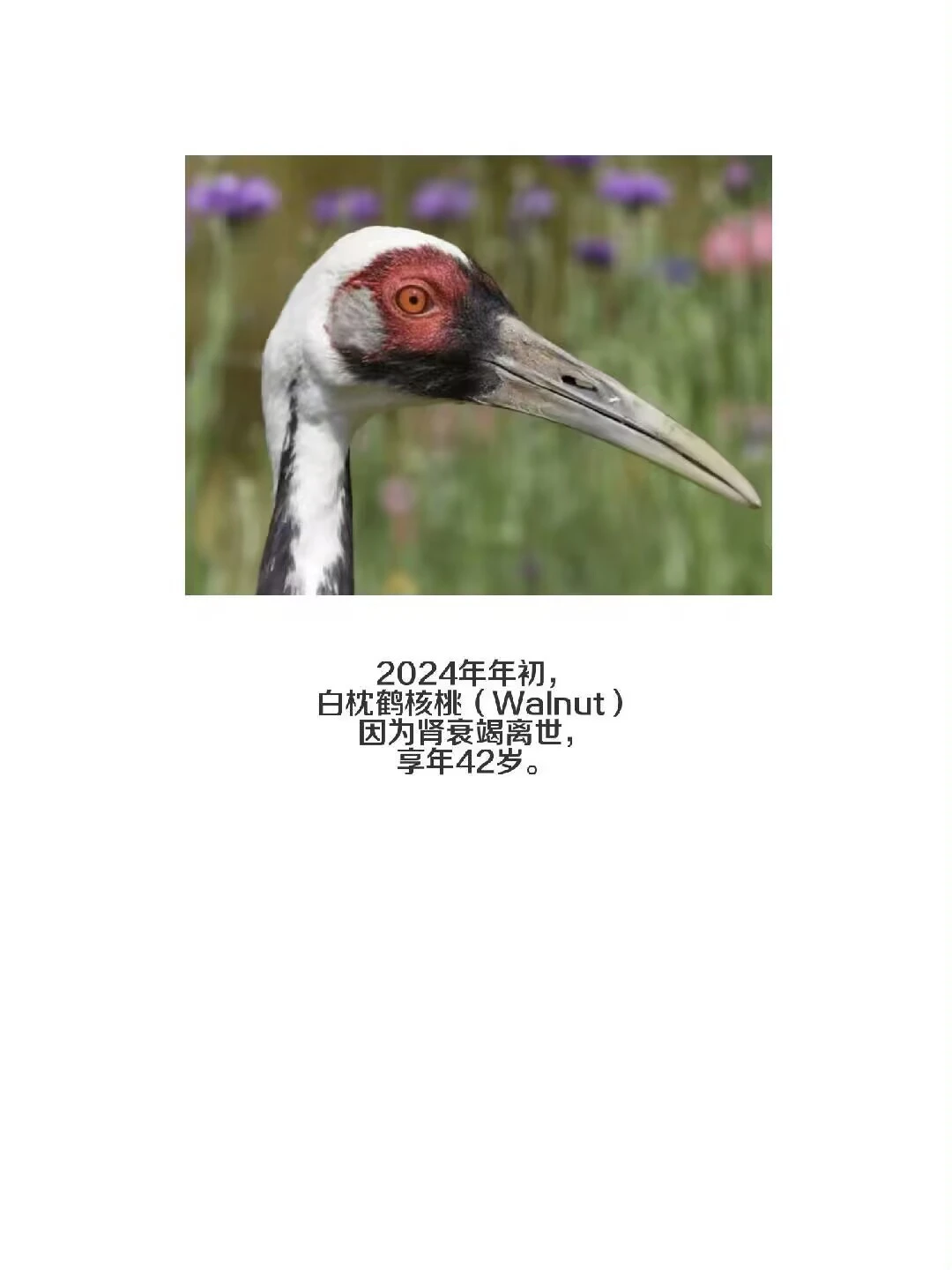 /static/156c1bbfc5c301e3101552acc871abfca269ef401816ea3692ddacb877338fa6.webp