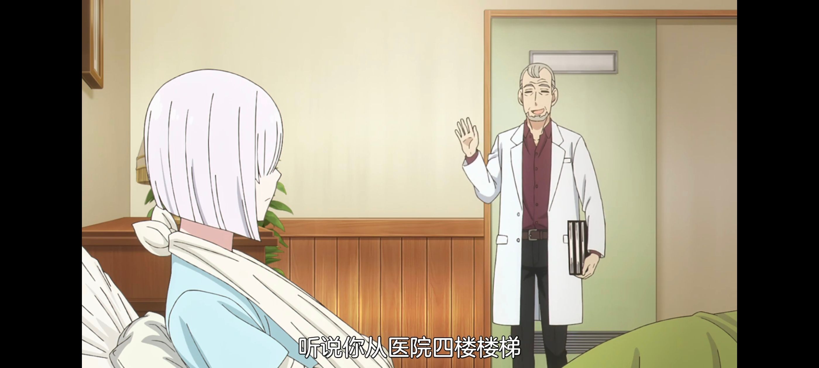 间谍过家家,SPYFAMILY,动画,动漫,番剧,ACG