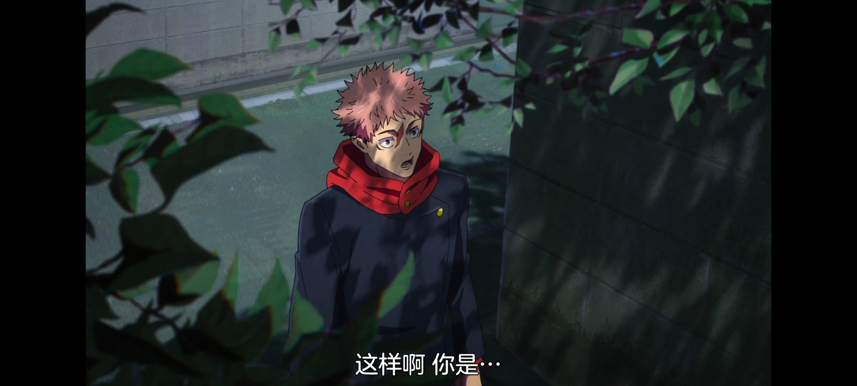 咒术回战,咒术回战死灭回游,动画,动漫,番剧,ACG