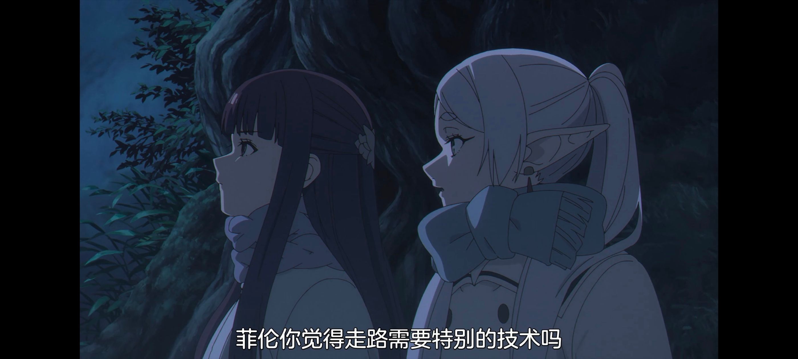 葬送的芙莉莲,动画,动漫,番剧,二次元,ACG