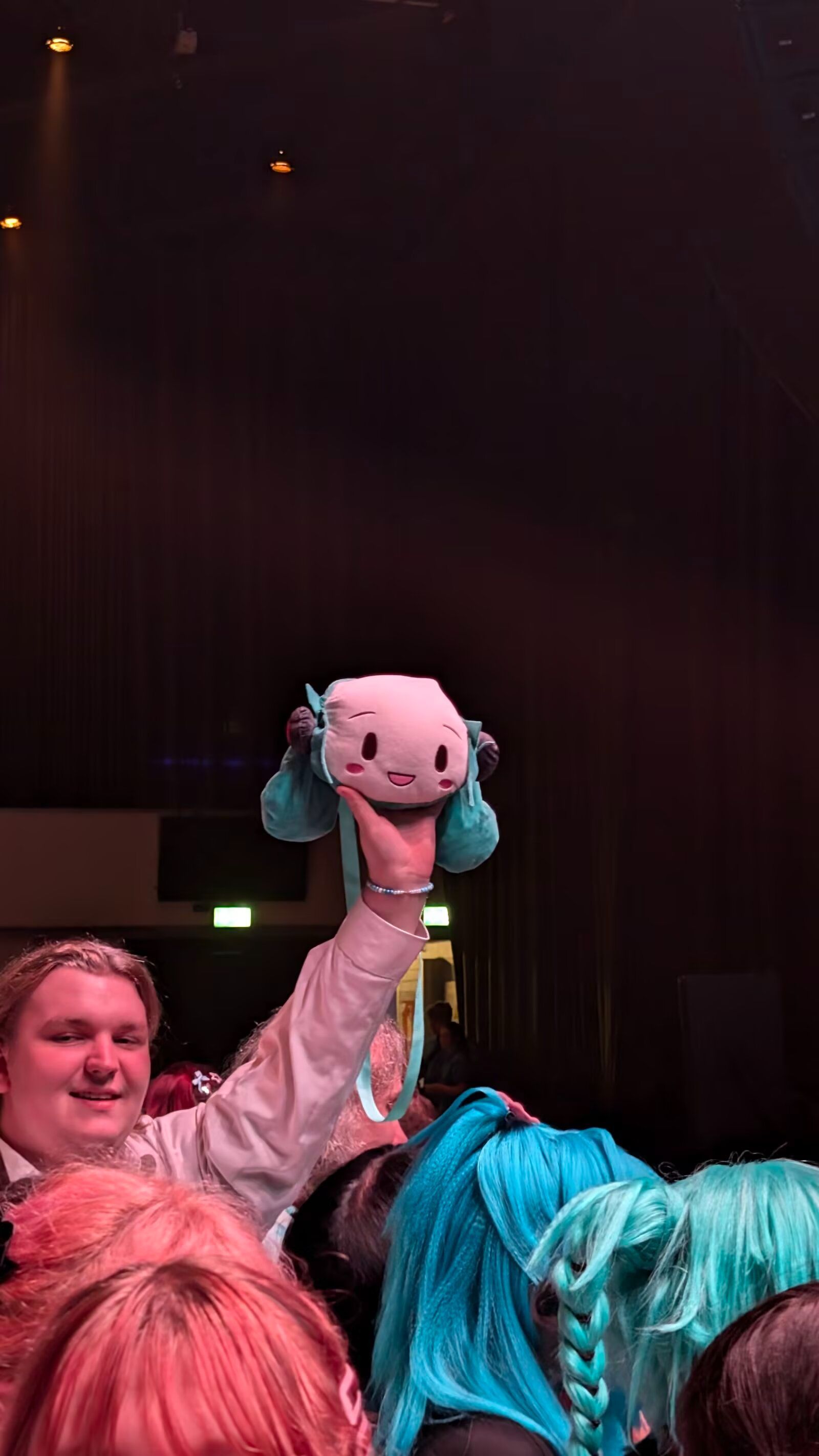 初音未来,初音ミク,术力口,虚拟歌姬,VOCALOID,MIKU