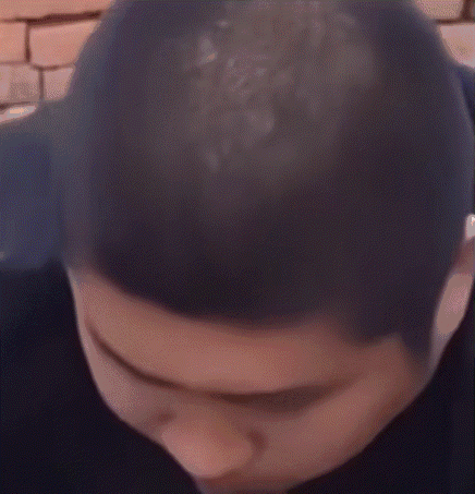 meme,动图,梗图,GIF