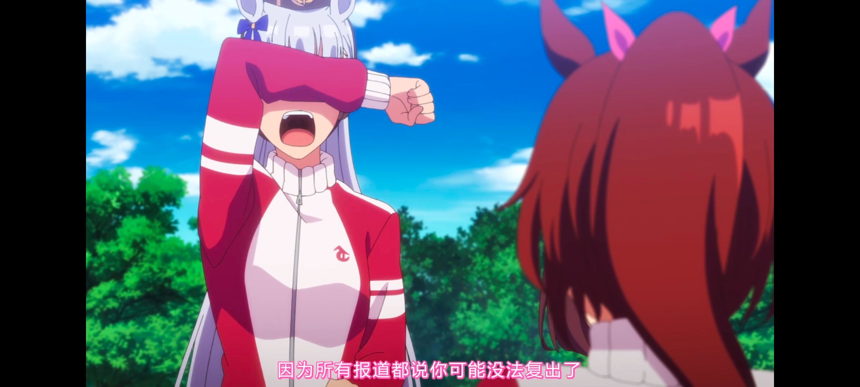 赛马娘,赛马娘PrettyDreby,赛马娘第二季,动画,动漫,番剧,二次元,ACG