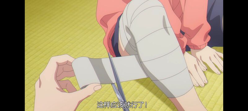 赛马娘,赛马娘PrettyDreby,芦毛灰姑娘,赛马娘芦毛灰姑娘,动画,动漫,番剧,ACG