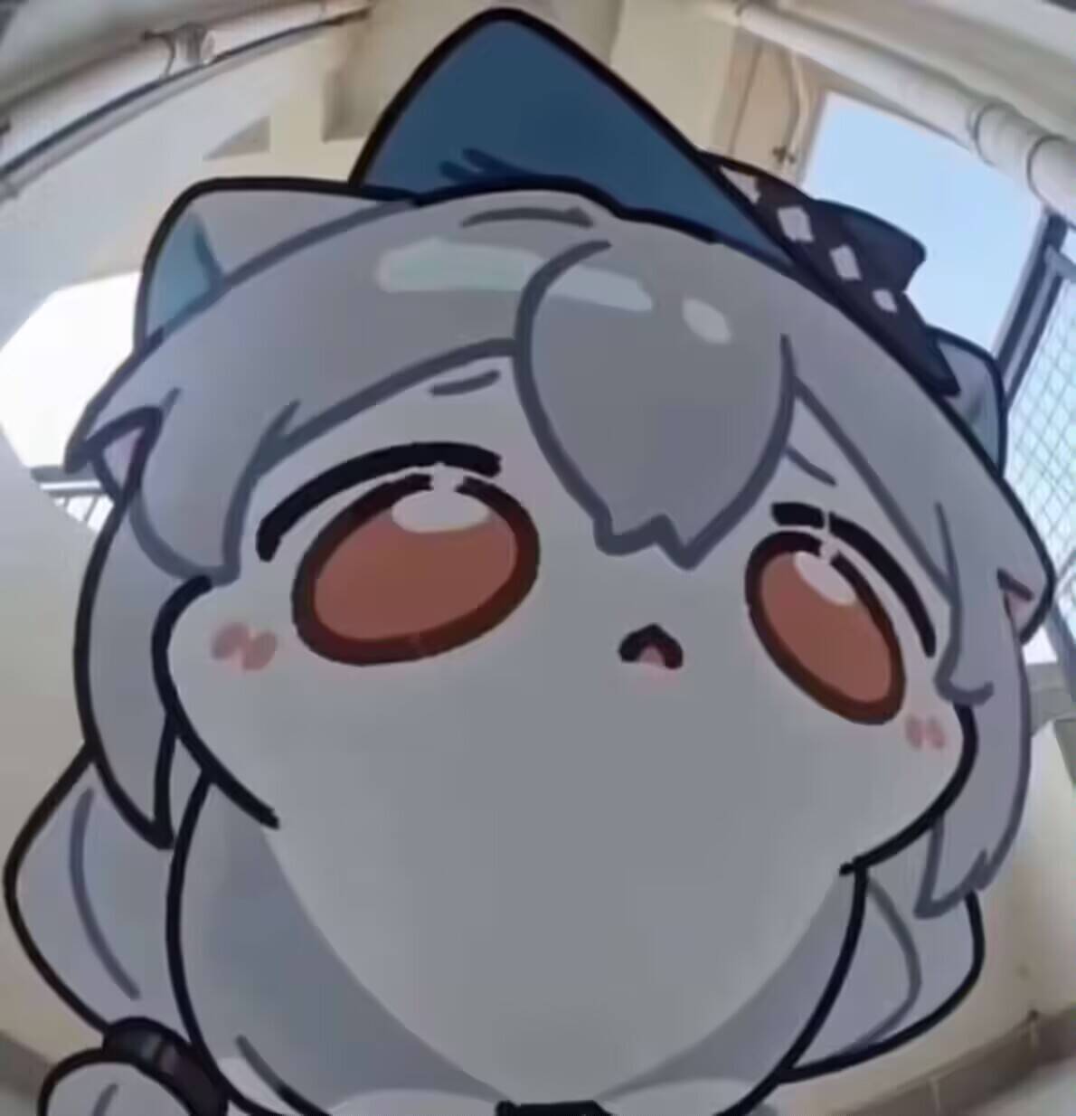 动态,表情包