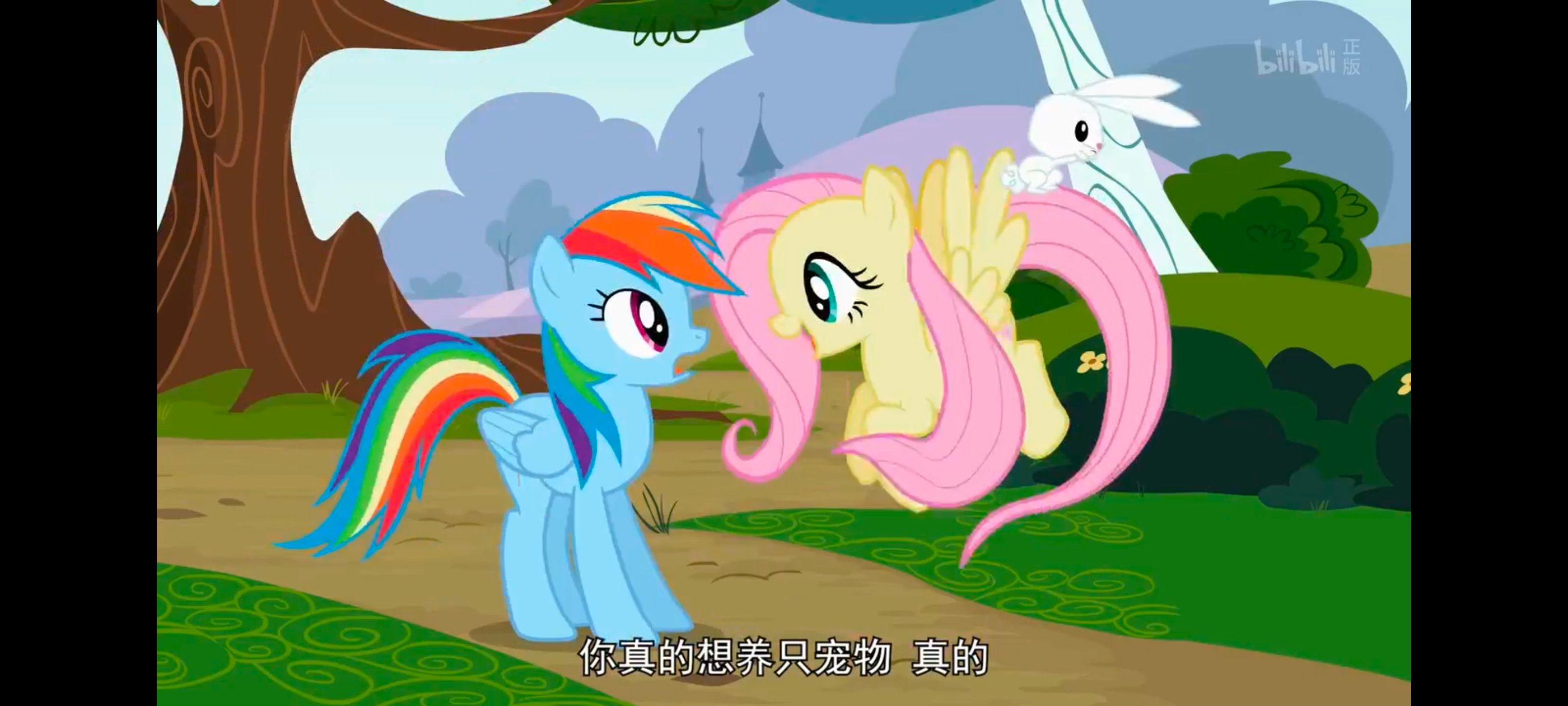 小马宝莉,彩虹小马,我的小马驹,动画,动漫,番剧,二次元,ACG