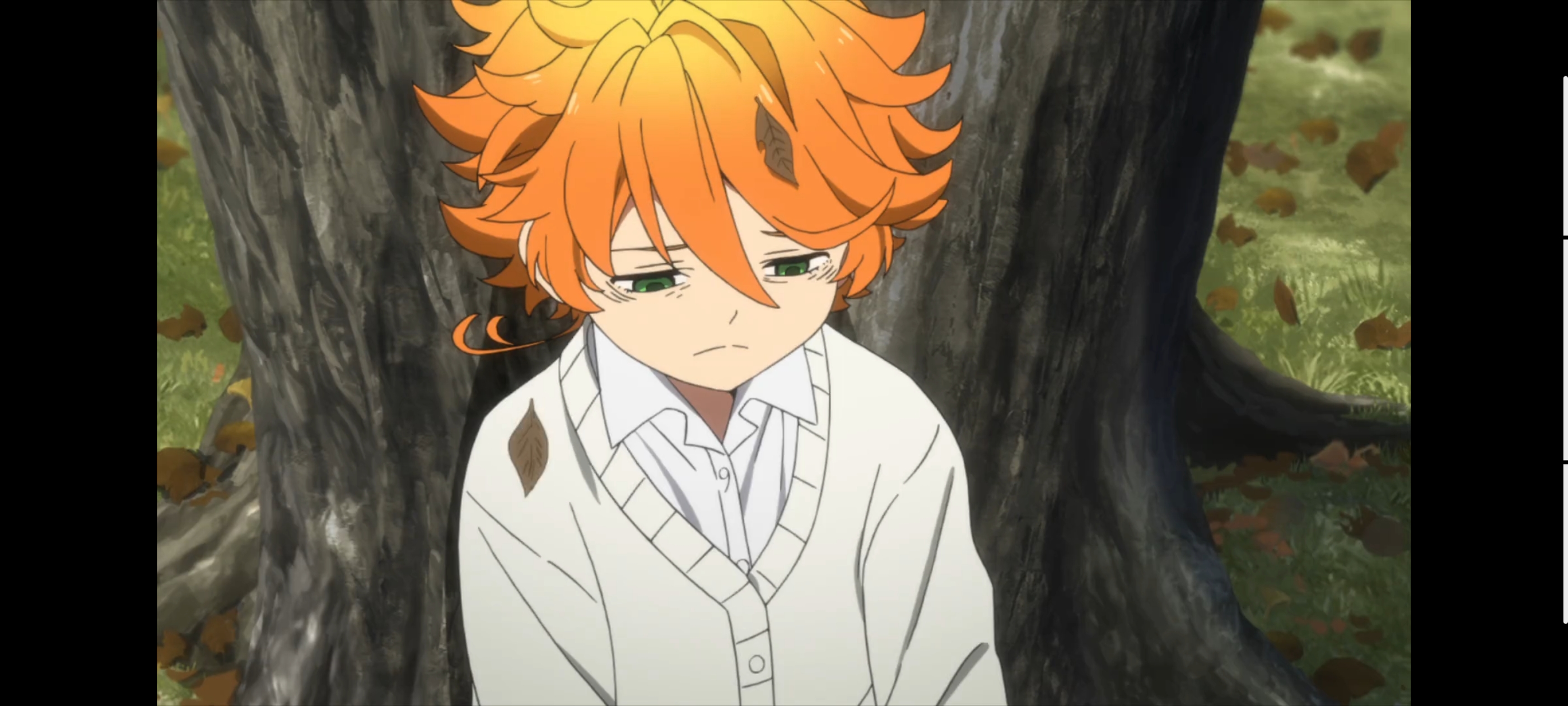 约定的梦幻岛,动画,动漫,番剧,二次元,ACG